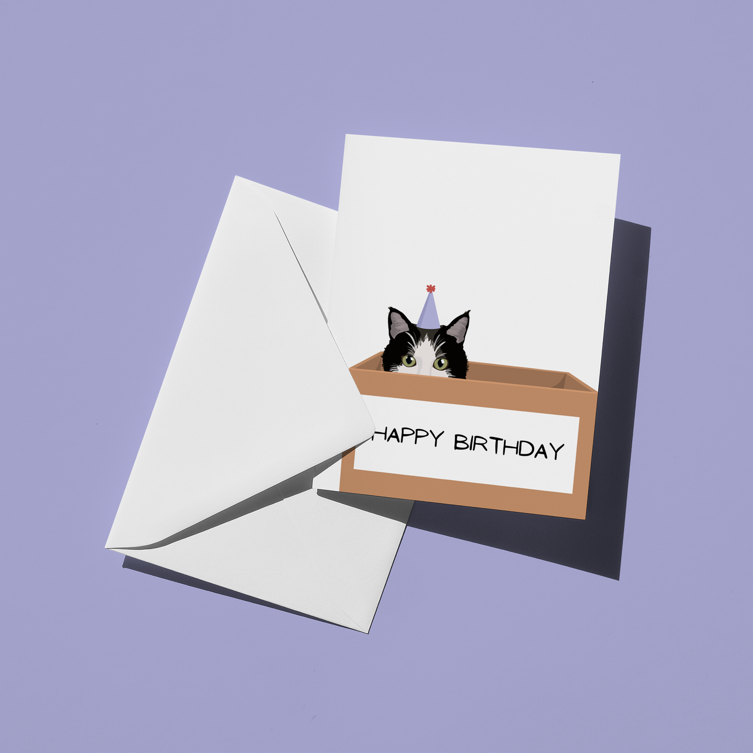 Birthday Cat Greeting Card