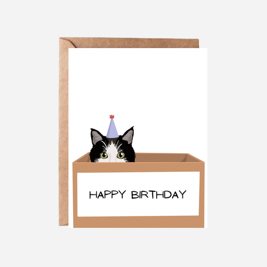 Birthday Cat Greeting Card | Cat in Box