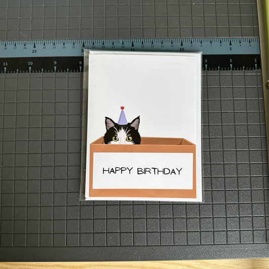 Birthday Cat Greeting Card