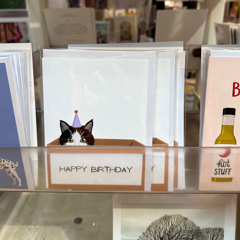 Birthday Cat Greeting Card