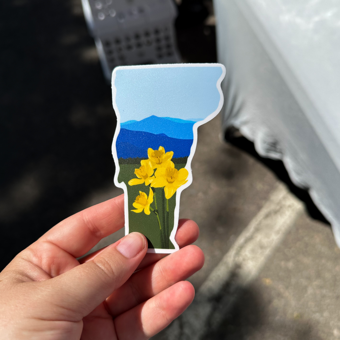 Vermont Daffodil Sticker